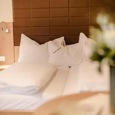 Rothwangl Hannes Hotel Krieglach