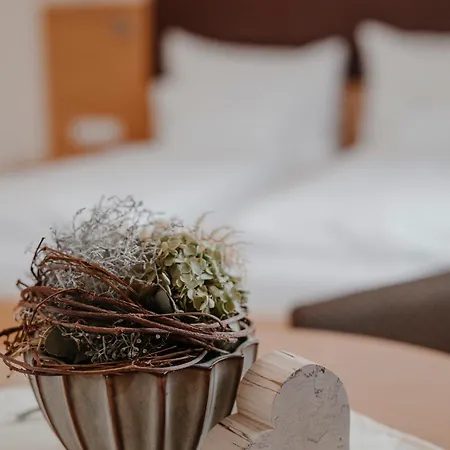 Rothwangl Hannes Otel Krieglach