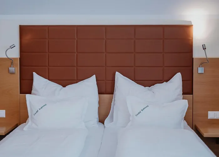 Rothwangl Hannes فندق 3*