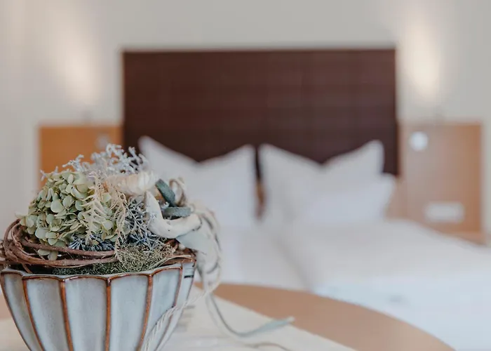 酒店 Rothwangl Hannes 3*