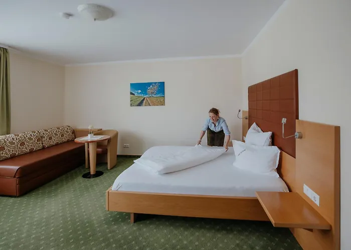 酒店 Rothwangl Hannes 3*