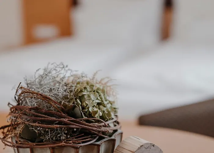 Rothwangl Hannes فندق كريغلاتش